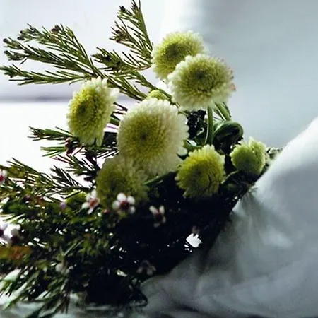 מלון Arni Domotel