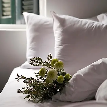 Arni Domotel Hotel Kardítsa